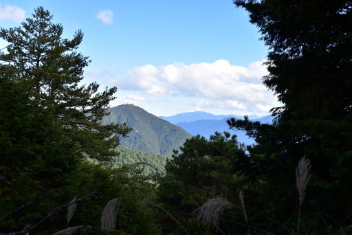 大雪山國家森林遊樂區 (32).JPG 大雪山國家森林遊樂區 (32).JPG