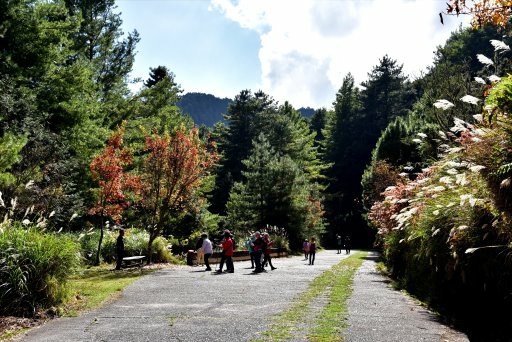 大雪山國家森林遊樂區 (33).JPG 大雪山國家森林遊樂區 (33).JPG