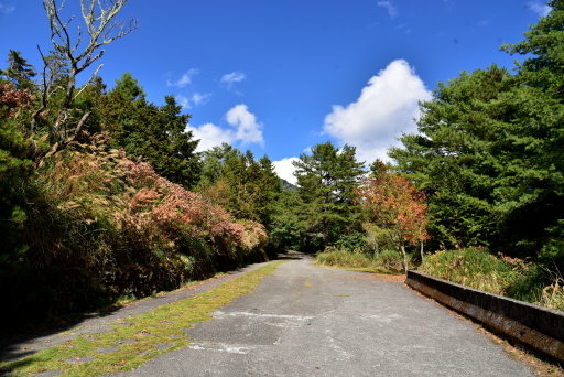 大雪山國家森林遊樂區 (35).JPG 大雪山國家森林遊樂區 (35).JPG