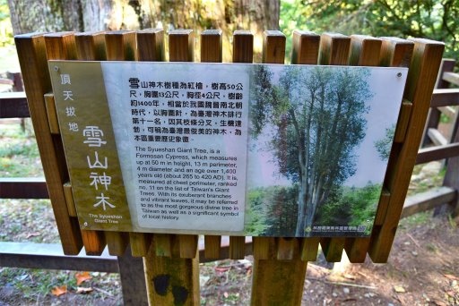 大雪山國家森林遊樂區 (39).JPG 大雪山國家森林遊樂區 (39).JPG