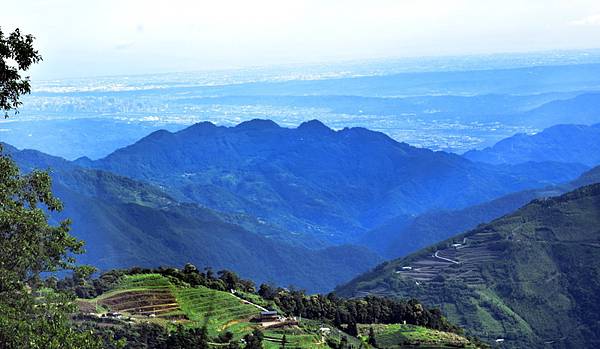 大鹿林道西線 (2).jpg 大鹿林道西線 (2).jpg