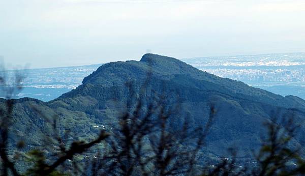 大鹿林道西線 (7).jpg 大鹿林道西線 (7).jpg