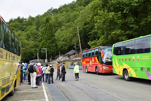 大鹿林道西線 (8).jpg 大鹿林道西線 (8).jpg