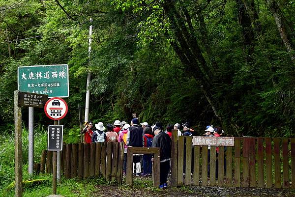 大鹿林道西線 (12).jpg 大鹿林道西線 (12).jpg