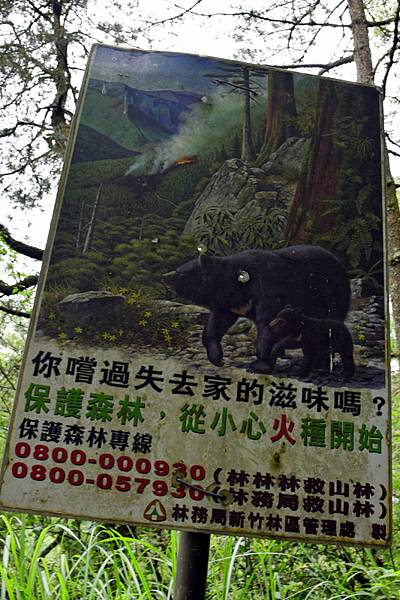 大鹿林道西線 (13).jpg 大鹿林道西線 (13).jpg