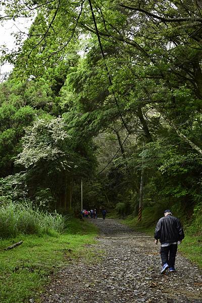 大鹿林道西線 (14).jpg 大鹿林道西線 (14).jpg