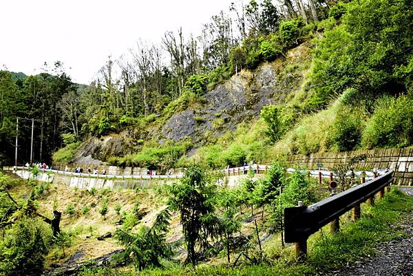 大鹿林道西線 (15).jpg 大鹿林道西線 (15).jpg