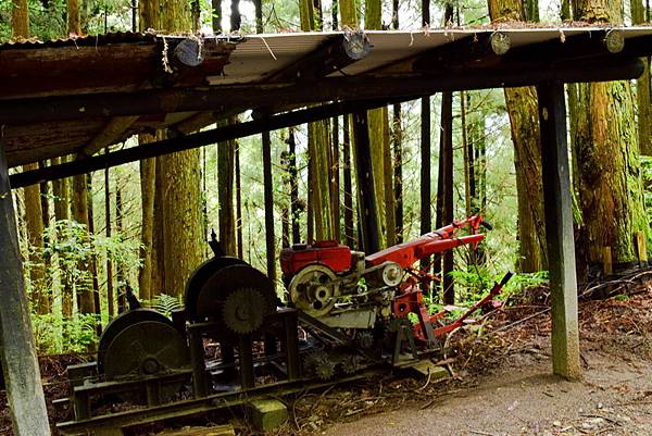 大鹿林道西線 (17).jpg 大鹿林道西線 (17).jpg