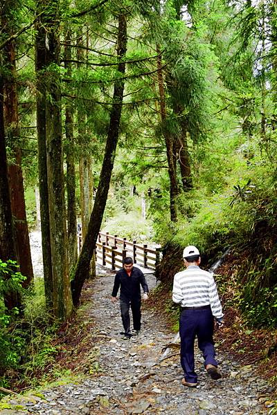 榛山森林浴步道 (3).jpg 榛山森林浴步道 (3).jpg