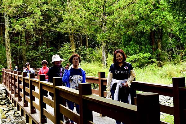 榛山森林浴步道 (4).jpg 榛山森林浴步道 (4).jpg