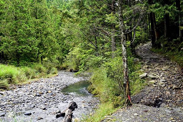 榛山森林浴步道 (5).jpg 榛山森林浴步道 (5).jpg
