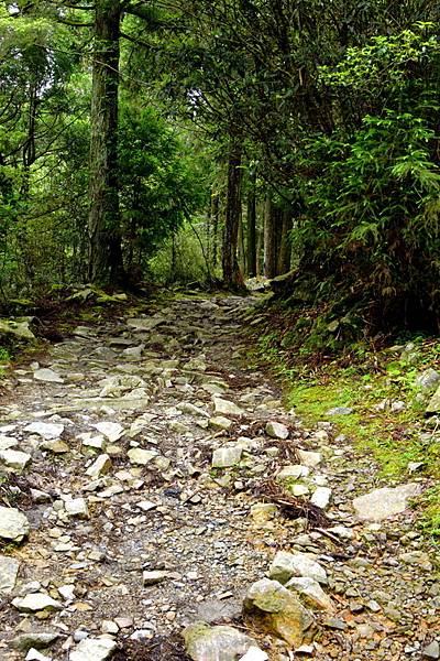 榛山森林浴步道 (6).jpg 榛山森林浴步道 (6).jpg