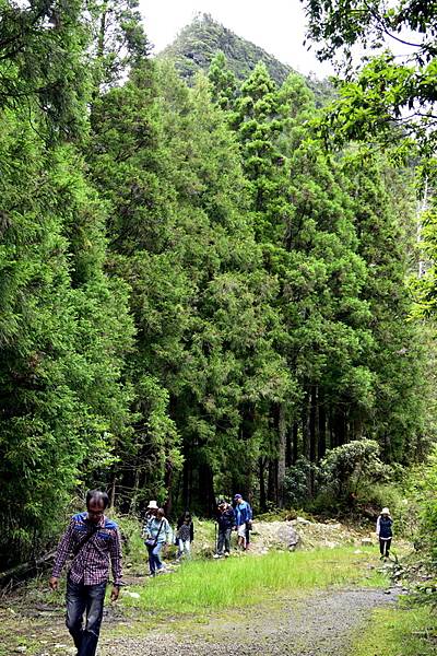 榛山森林浴步道 (8).jpg 榛山森林浴步道 (8).jpg