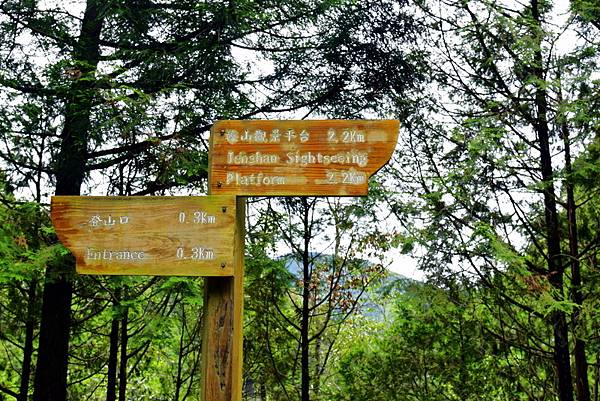 榛山森林浴步道 (9).jpg 榛山森林浴步道 (9).jpg