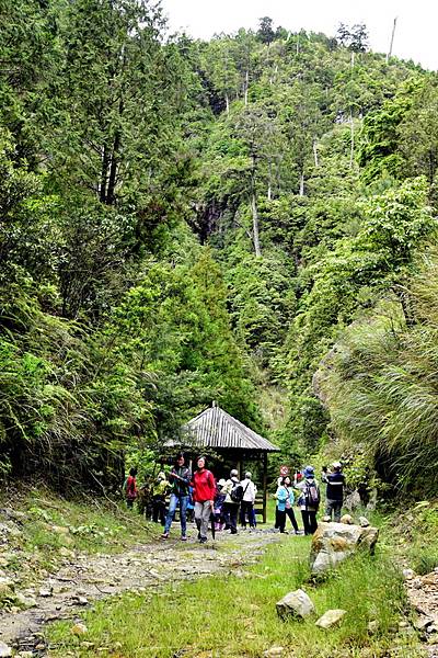 榛山森林浴步道 (11).jpg 榛山森林浴步道 (11).jpg