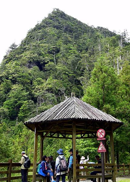 榛山森林浴步道 (12).jpg 榛山森林浴步道 (12).jpg