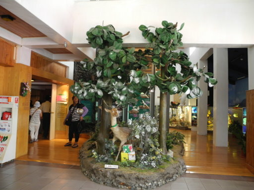 綠島之旅 (48).jpg 綠島之旅 (48).jpg