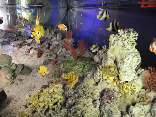 綠島之旅 (52).jpg 綠島之旅 (52).jpg