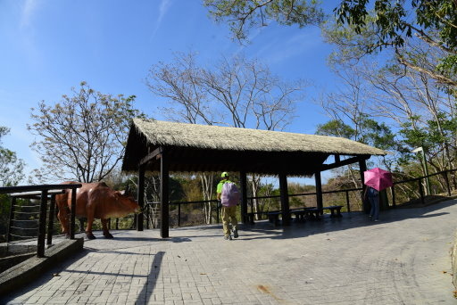 【台南市龍崎區】惡地秘境-牛埔泥岩水土保持教學園區 (台北市