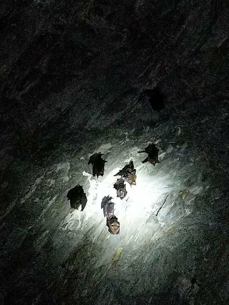 【花蓮縣秀林鄉】白楊步道水簾洞, 美景令人讚嘆! (花蓮3 【花蓮縣秀林鄉】白楊步道水簾洞, 美景令人讚嘆! (花蓮3