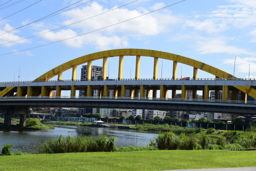 【台北市,新北市】基隆河左岸自行車道-成美左岸河濱公園花海&