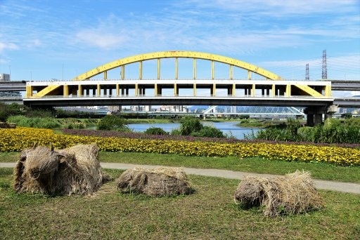 【台北市,新北市】基隆河左岸自行車道-成美左岸河濱公園花海&