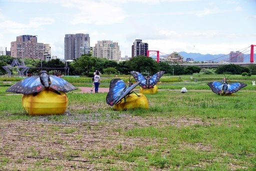 【新北市】板橋蝴蝶公園浪漫地景花海,新店陽光運動公園,碧潭風