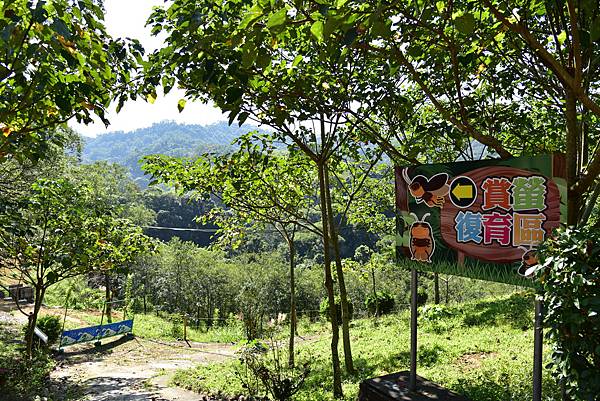 【台中市東勢區】中部最美的森林生態花園-東勢林場遊樂區 (東 【台中市東勢區】中部最美的森林生態花園-東勢林場遊樂區 (東