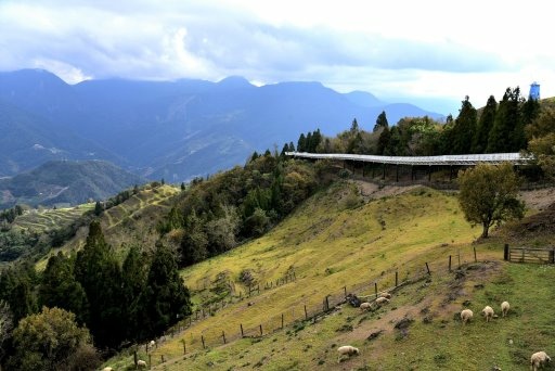 清境高空觀景步道 (22).JPG