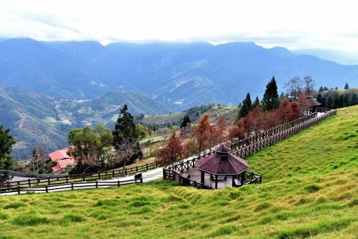 清境高空觀景步道 (4).JPG