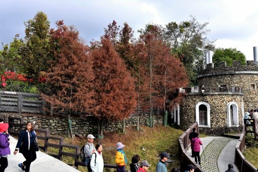 清境高空觀景步道 (6).JPG