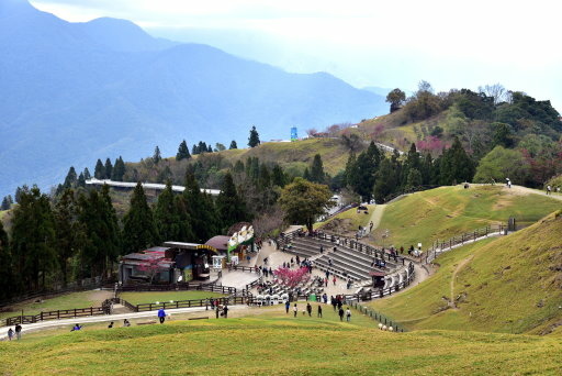 清境高空觀景步道 (10).JPG