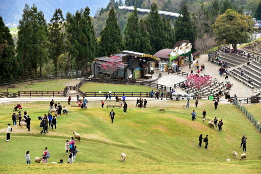 清境高空觀景步道 (11).JPG
