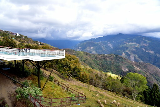 清境高空觀景步道 (23).JPG