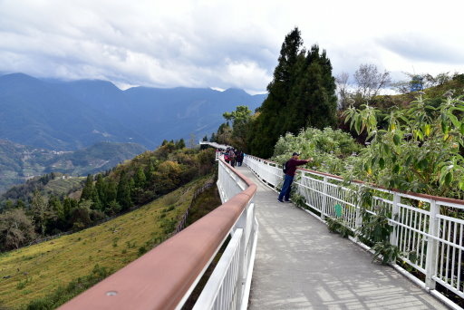 清境高空觀景步道 (24).JPG