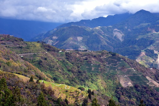 清境高空觀景步道 (26).JPG
