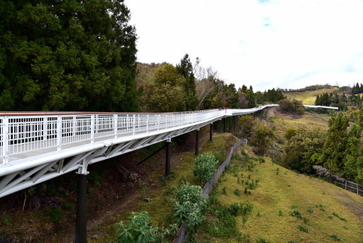 清境高空觀景步道 (28).JPG