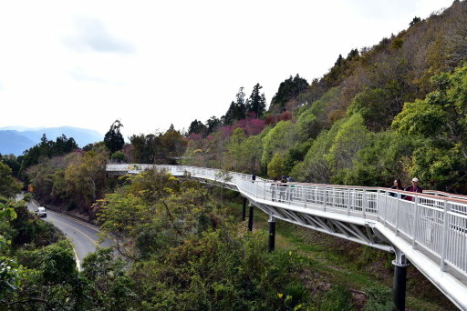 清境高空觀景步道 (34).JPG