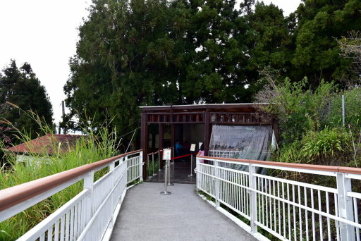清境高空觀景步道 (36).JPG