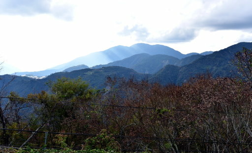 清境高空觀景步道 (40).JPG