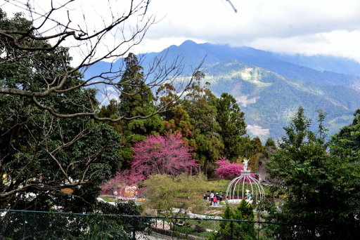 清境高空觀景步道 (41).JPG