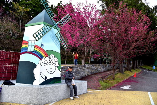 清境高空觀景步道 (43).JPG