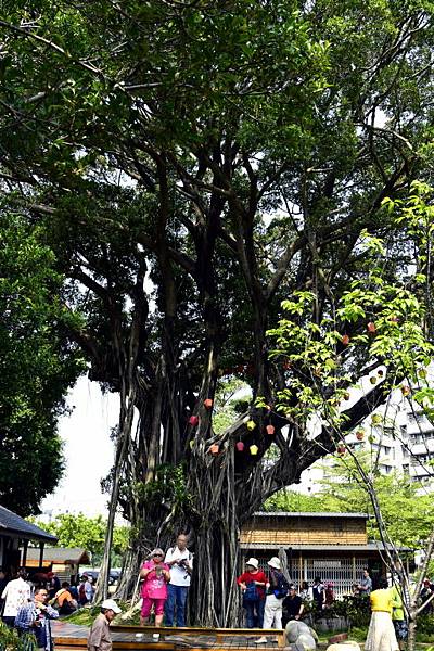 道禾六藝文化館(刑務所演武場) (8).JPG 道禾六藝文化館(刑務所演武場) (8).JPG