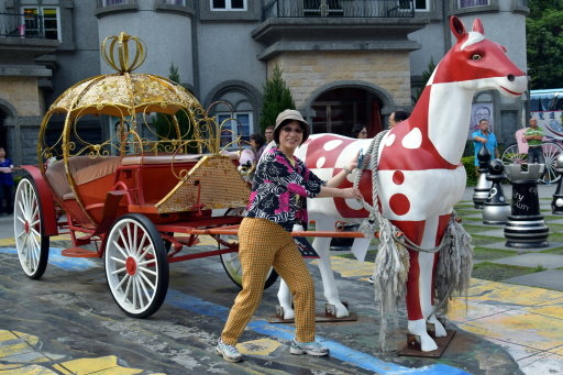 【南投縣,新竹縣】大黑松小倆口-元首館,新竹老鍋休閒農莊,湖 【南投縣,新竹縣】大黑松小倆口-元首館,新竹老鍋休閒農莊,湖