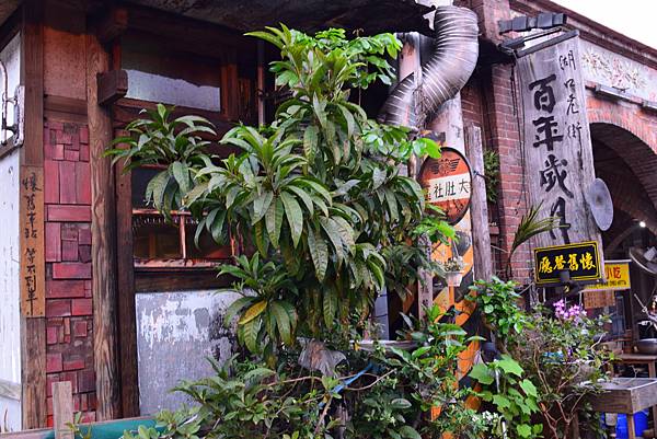 【南投縣,新竹縣】大黑松小倆口-元首館,新竹老鍋休閒農莊,湖 【南投縣,新竹縣】大黑松小倆口-元首館,新竹老鍋休閒農莊,湖