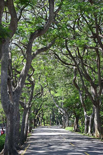 【台中市西屯區】東海大學巡禮-路思義教堂,乳品小棧,東海牧場 【台中市西屯區】東海大學巡禮-路思義教堂,乳品小棧,東海牧場