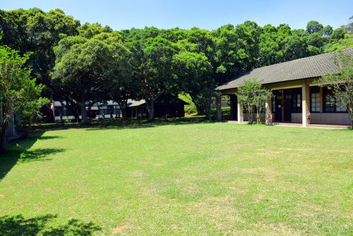 【台中市西屯區】東海大學巡禮-路思義教堂,乳品小棧,東海牧場 【台中市西屯區】東海大學巡禮-路思義教堂,乳品小棧,東海牧場