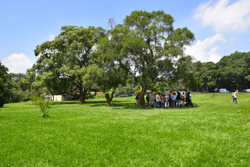 【台中市西屯區】東海大學巡禮-路思義教堂,乳品小棧,東海牧場 【台中市西屯區】東海大學巡禮-路思義教堂,乳品小棧,東海牧場