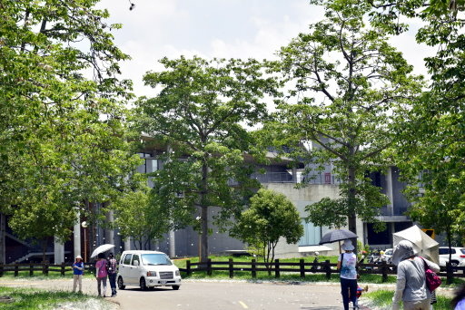 【台中市西屯區】東海大學巡禮-路思義教堂,乳品小棧,東海牧場 【台中市西屯區】東海大學巡禮-路思義教堂,乳品小棧,東海牧場