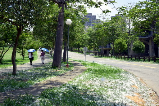 【台中市西屯區】東海大學巡禮-路思義教堂,乳品小棧,東海牧場 【台中市西屯區】東海大學巡禮-路思義教堂,乳品小棧,東海牧場